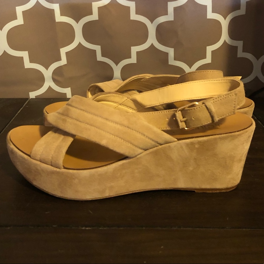 J Crew Suede Wedges